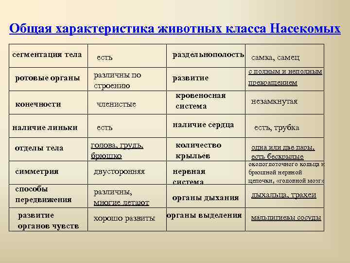 Общая характеристика животных класса Насекомых сегментация тела ротовые органы конечности наличие линьки отделы тела