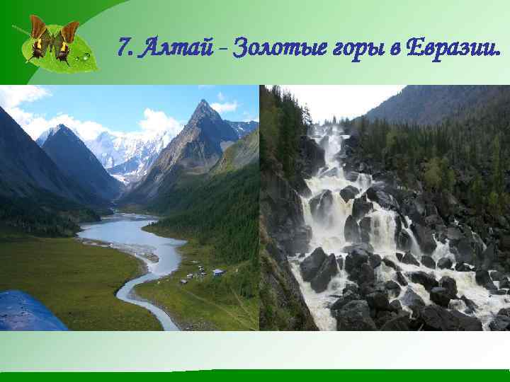 7. Алтай - Золотые горы в Евразии. 
