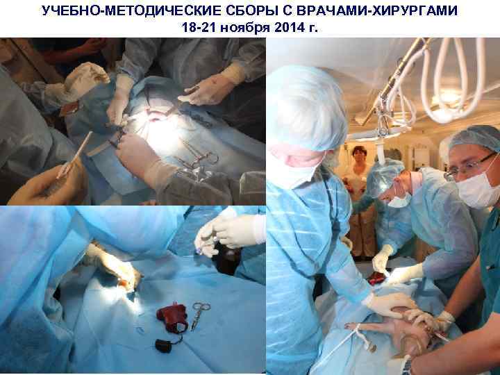 УЧЕБНО-МЕТОДИЧЕСКИЕ СБОРЫ С ВРАЧАМИ-ХИРУРГАМИ 18 -21 ноября 2014 г. 