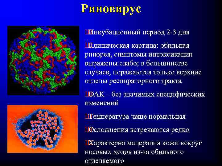 Риновирус Ш Инкубационный период 2 -3 дня Ш Клиническая картина: обильная ринорея, симптомы интоксикации