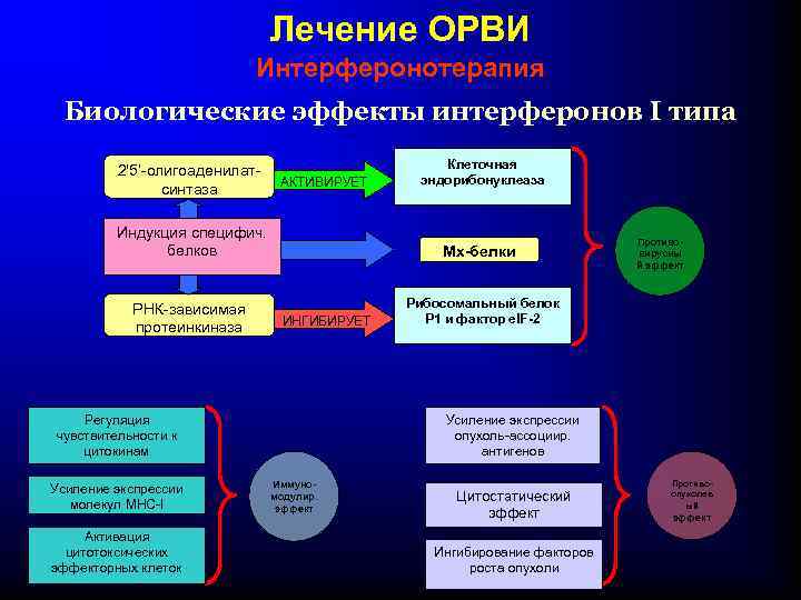 Лечение ОРВИ Интерферонотерапия Биологические эффекты интерферонов I типа 2'5’-олигоаденилатсинтаза АКТИВИРУЕТ Индукция специфич. белков РНК-зависимая