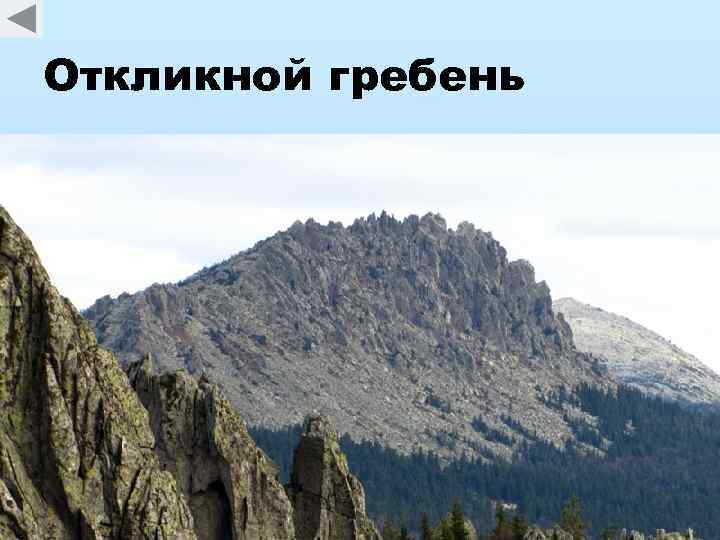 Откликной гребень 