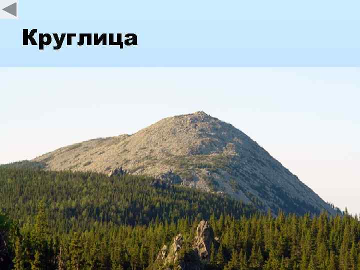 Круглица 