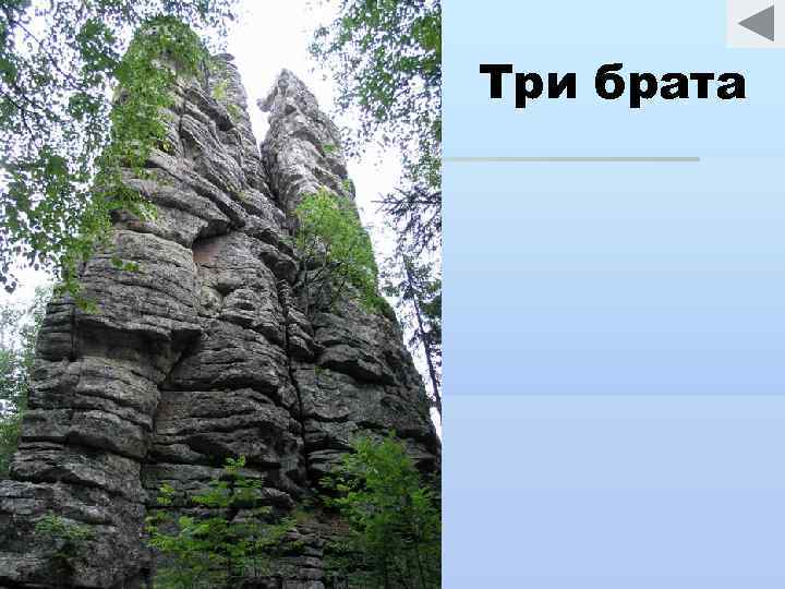 Проект про таганай