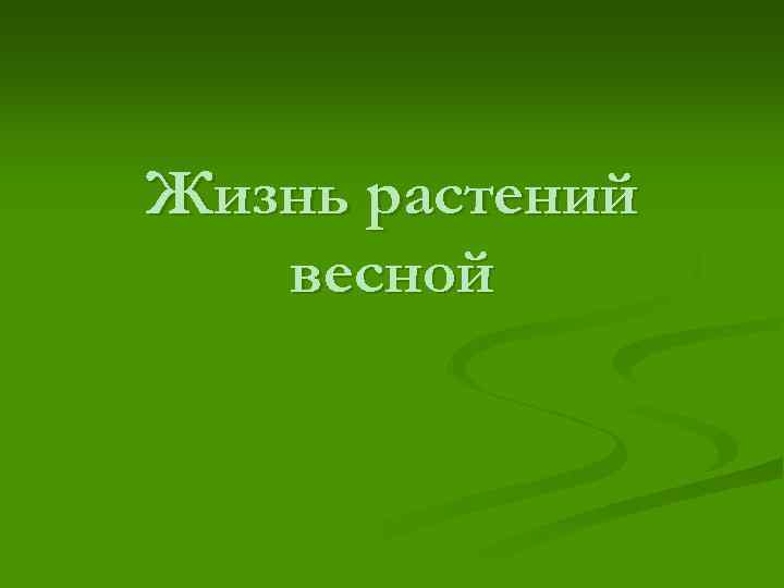 Жизнь растений весной 