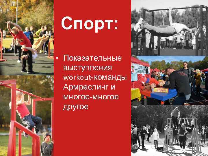 Спорт: • Показательные выступления workout-команды Армреслинг и многое-многое другое 