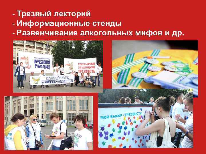 - Трезвый лекторий - Информационные стенды - Развенчивание алкогольных мифов и др. 