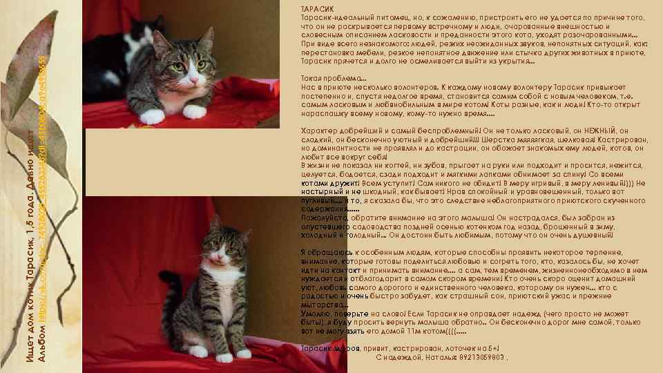 Ищет дом котик Тарасик, 1, 5 года. Давно ищет Альбом https: //vk. com/doc-74938020_455283343? dl=45