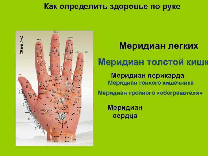 Как определить здоровье по руке Меридиан легких Меридиан толстой кишк Меридиан перикарда Меридиан тонкого