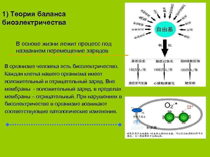 www. tiens. com 1) Теория баланса биоэлектричества В основе жизни лежит процесс под названием