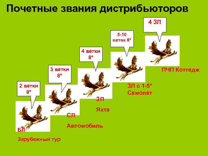 Почетные звания дистрибьюторов 4 ЗЛ 5 -10 веток 8* 4 ветки 8* ПЧП Коттедж