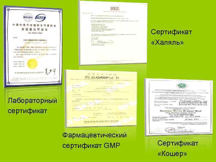 Сертификат «Халяль» Лабораторный сертификат Фармацевтический сертификат GMP Сертификат «Кошер» 