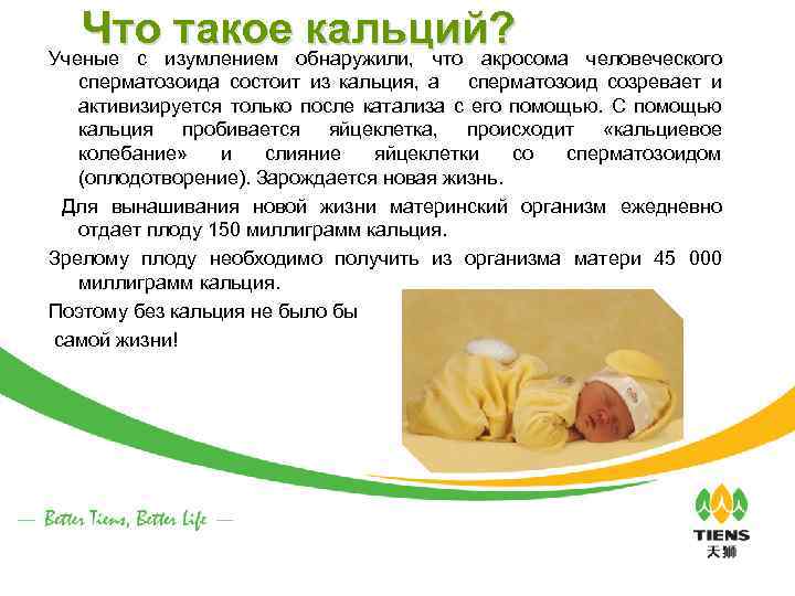 Что такое кальций? человеческого Ученые с изумлением обнаружили, что акросома сперматозоида состоит из кальция,