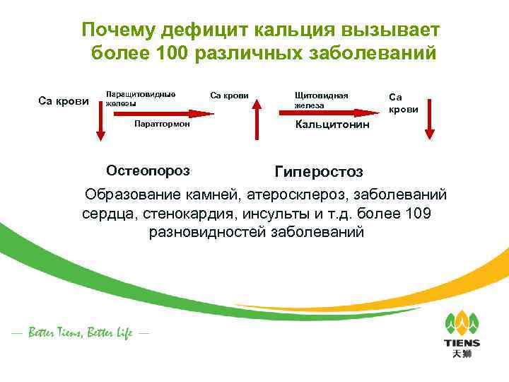 Почему дефицит кальция вызывает более 100 различных заболеваний Са крови Паращитовидные железы Паратгормон Остеопороз