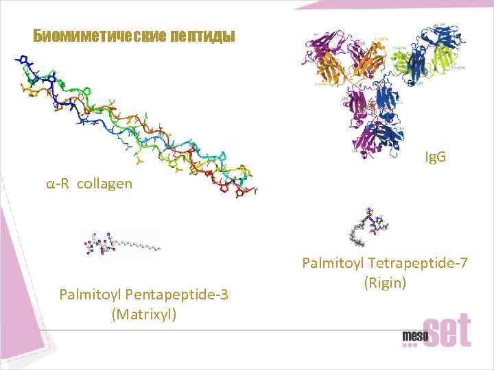 Биомиметические пептиды Ig. G α-R collagen Palmitoyl Pentapeptide-3 (Matrixyl) Palmitoyl Tetrapeptide-7 (Rigin) 