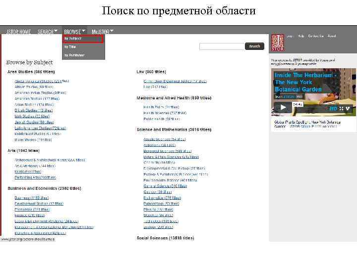 Поиск по предметной области 
