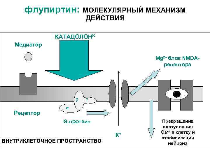 флупиртин: МОЛЕКУЛЯРНЫЙ МЕХАНИЗМ ДЕЙСТВИЯ КАТАДОЛОН® Медиатор Mg 2+ блок NMDAрецептора β Рецептор γ α