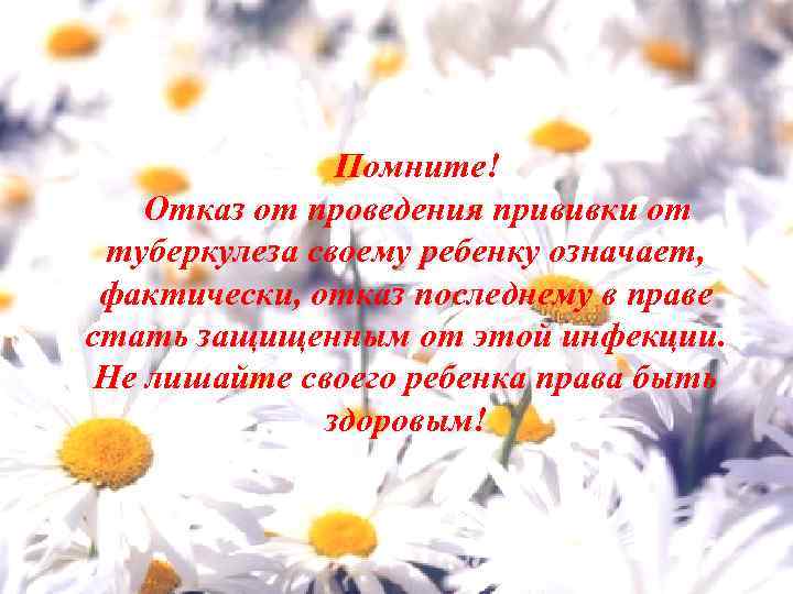 Помните! Отказ от проведения прививки от туберкулеза своему ребенку означает, фактически, отказ последнему в