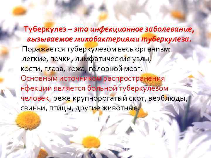 Что же такое туберкулез, и каковы источники инфекции? Туберкулез – это инфекционное заболевание, вызываемое