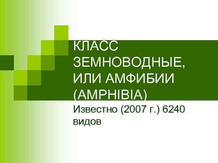 КЛАСС ЗЕМНОВОДНЫЕ, ИЛИ АМФИБИИ (AMPHIBIA) Известно (2007 г. ) 6240 видов 