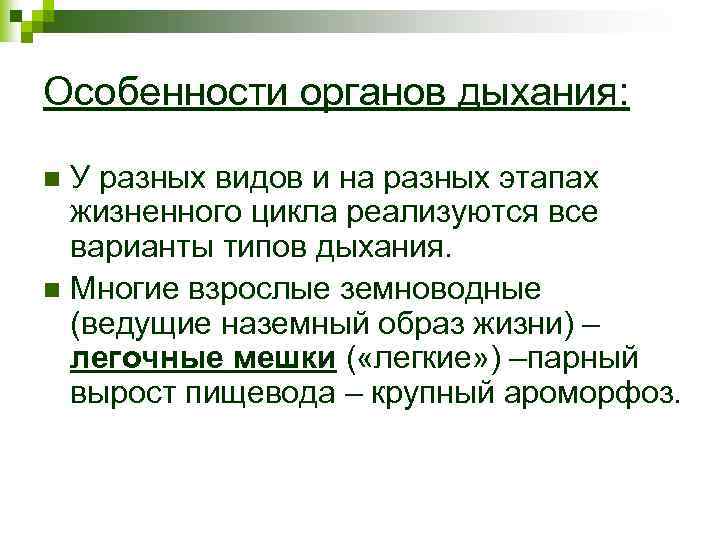 Особенности органов дыхания: У разных видов и на разных этапах жизненного цикла реализуются все