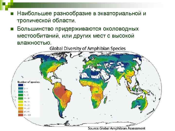Большинство придерживается. Global diversity of Amphibian species. Распространение амфибий на карте земли. Global diversity. Global diversity of Birds Map.