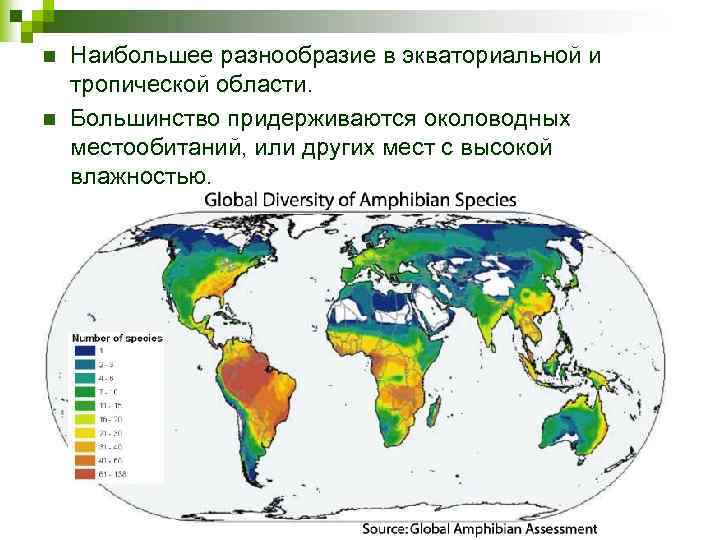 n n Наибольшее разнообразие в экваториальной и тропической области. Большинство придерживаются околоводных местообитаний, или