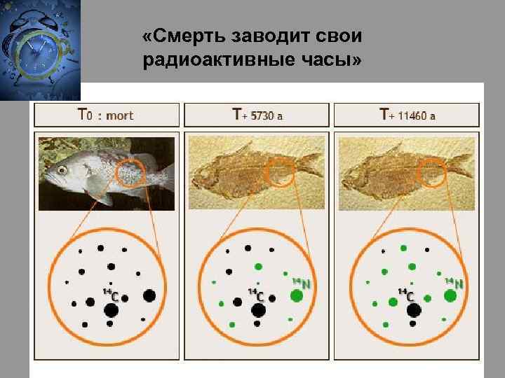  «Смерть заводит свои радиоактивные часы» 