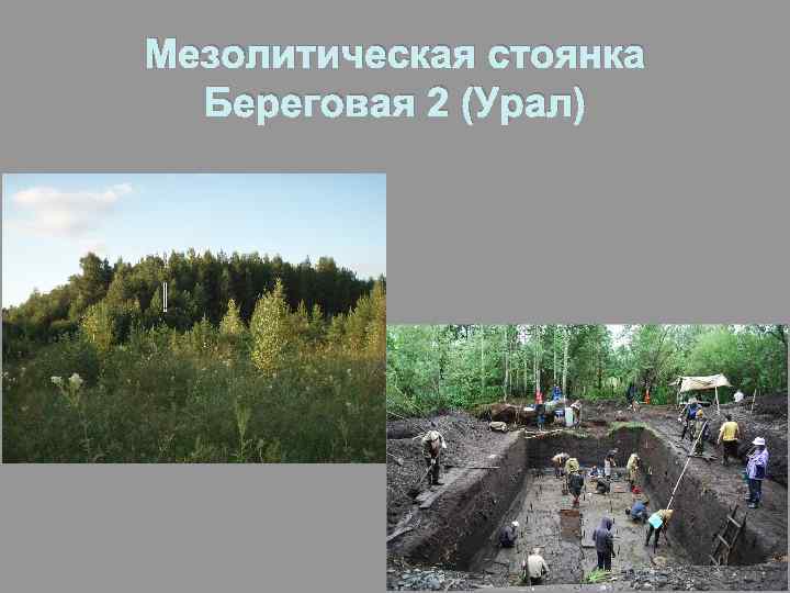 Мезолитическая стоянка Береговая 2 (Урал) 