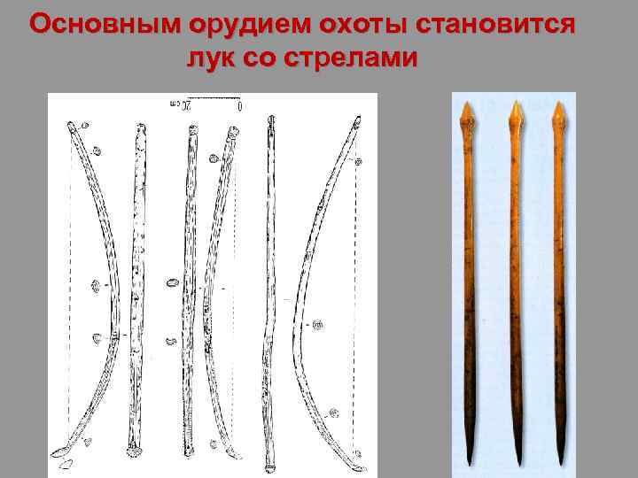 Основным орудием охоты становится лук со стрелами 
