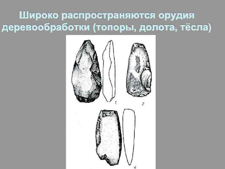Широко распространяются орудия деревообработки (топоры, долота, тёсла) 