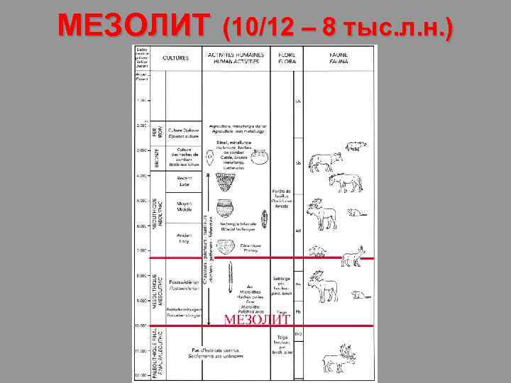 МЕЗОЛИТ (10/12 – 8 тыс. л. н. ) 