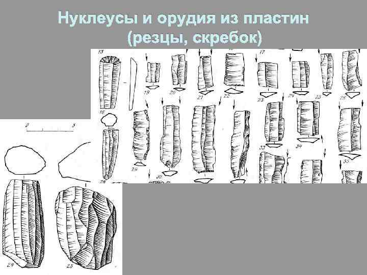 Нуклеусы и орудия из пластин (резцы, скребок) 