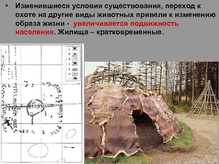  • Изменившиеся условия существования, переход к охоте на другие виды животных привели к