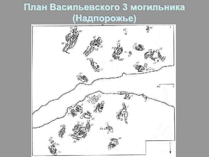План Васильевского 3 могильника (Надпорожье) 