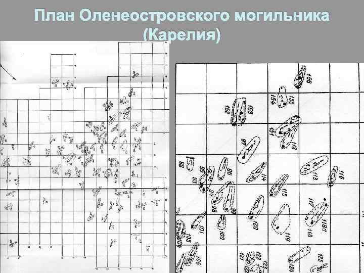 План Оленеостровского могильника (Карелия) 