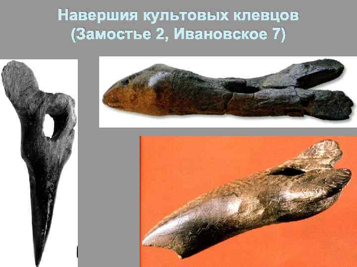 Навершия культовых клевцов (Замостье 2, Ивановское 7) 