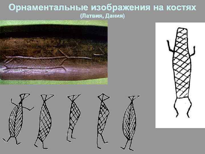 Орнаментальные изображения на костях (Латвия, Дания) 