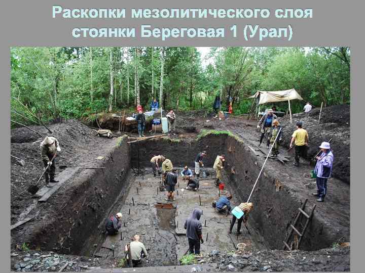 Раскопки мезолитического слоя стоянки Береговая 1 (Урал) 