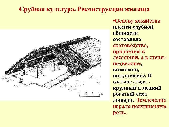 Срубная культура. Реконструкция жилища • Основу хозяйства племен срубной общности составляло скотоводство, придомное в