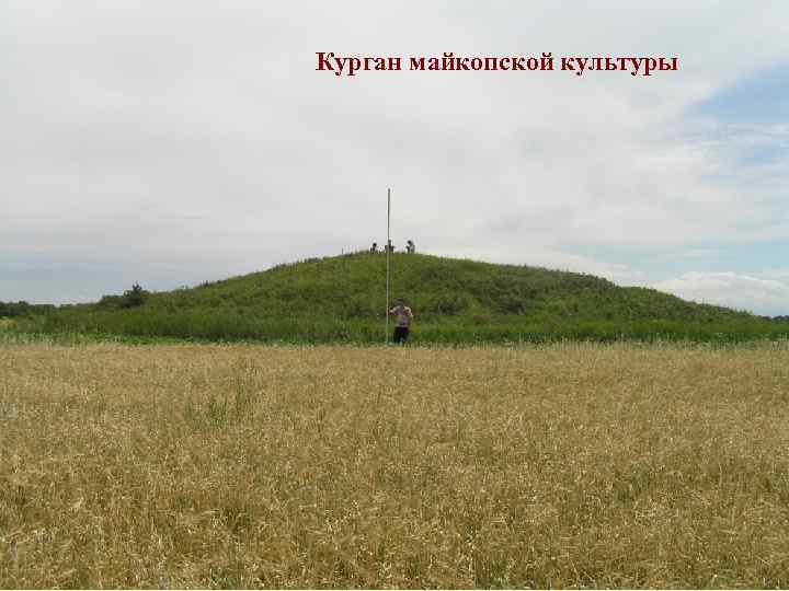 Майкопский курган фото