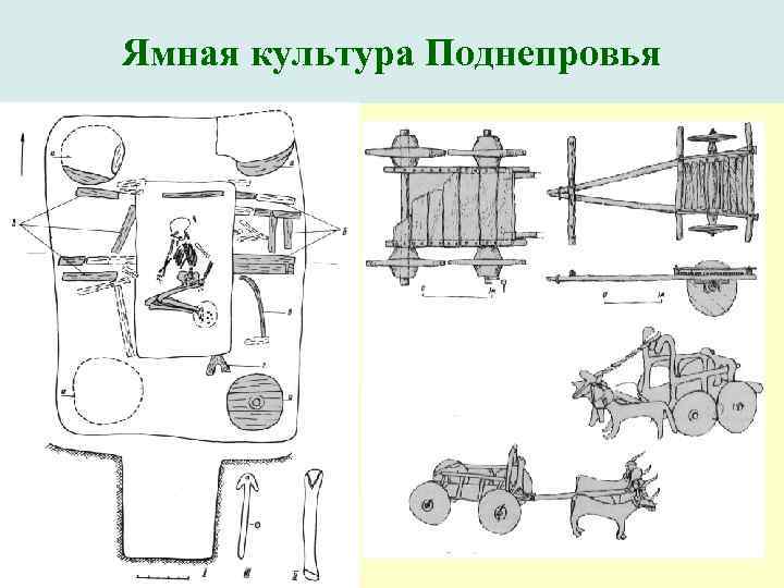 Ямная культура Поднепровья 