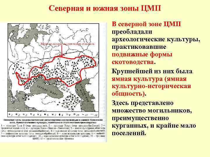 Северная и южная зоны ЦМП • В северной зоне ЦМП преобладали археологические культуры, практиковавшие