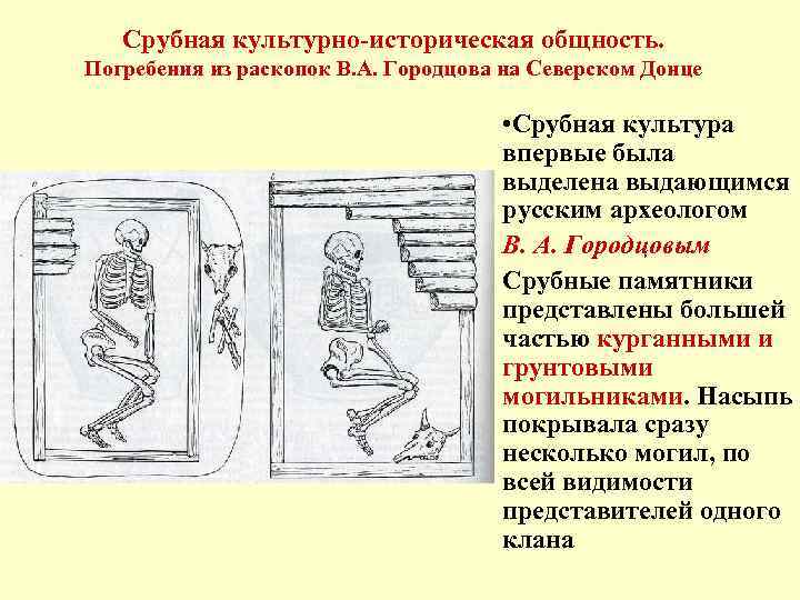 Срубная культурно-историческая общность. Погребения из раскопок В. А. Городцова на Северском Донце • Срубная