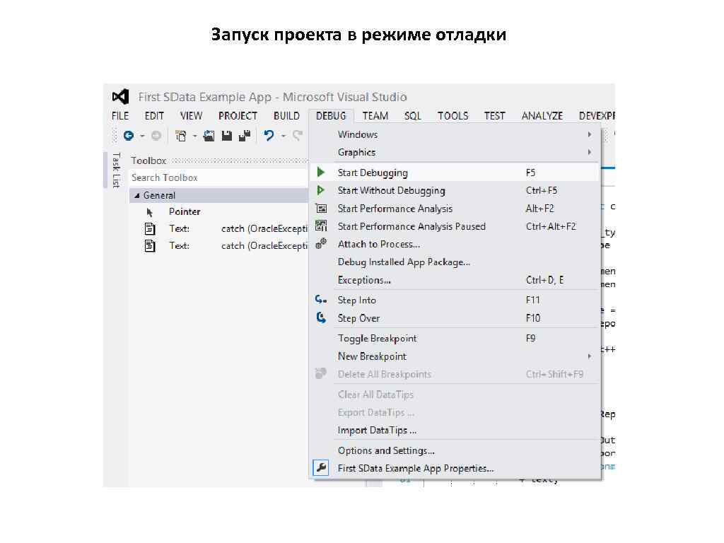 Запуск проекта в режиме отладки 