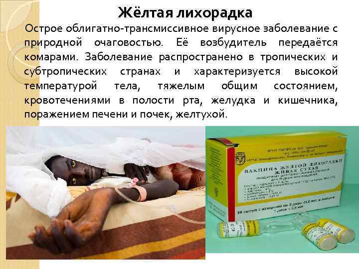 Жёлтая лихорадка Острое облигатно-трансмиссивное вирусное заболевание с природной очаговостью. Её возбудитель передаётся комарами. Заболевание