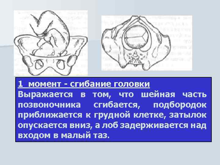 1 момент - сгибание головки Выражается в том, что шейная часть позвоночника сгибается, подбородок