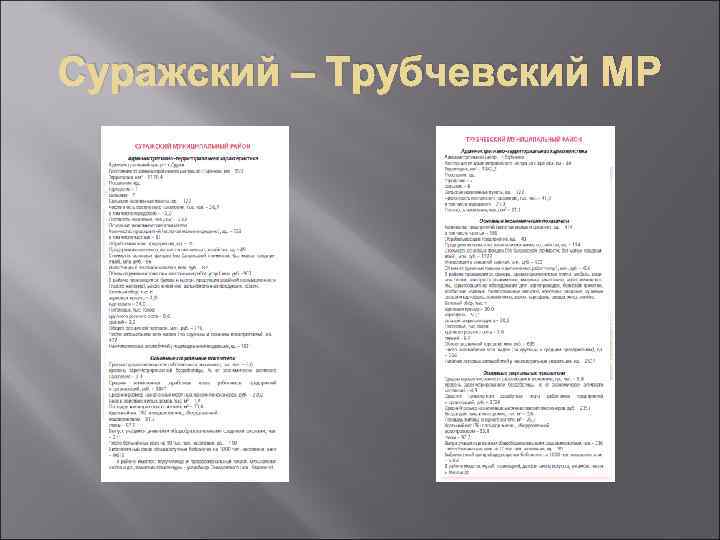 Суражский – Трубчевский МР 
