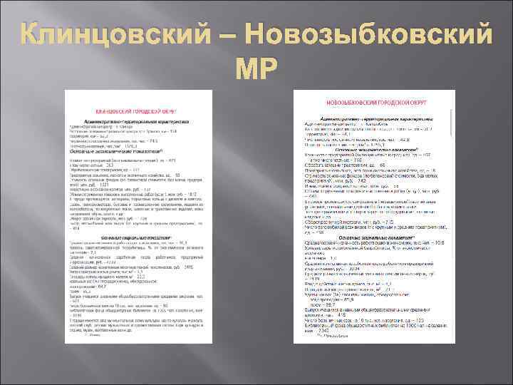 Клинцовский – Новозыбковский МР 