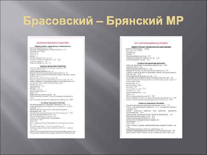 Брасовский – Брянский МР 